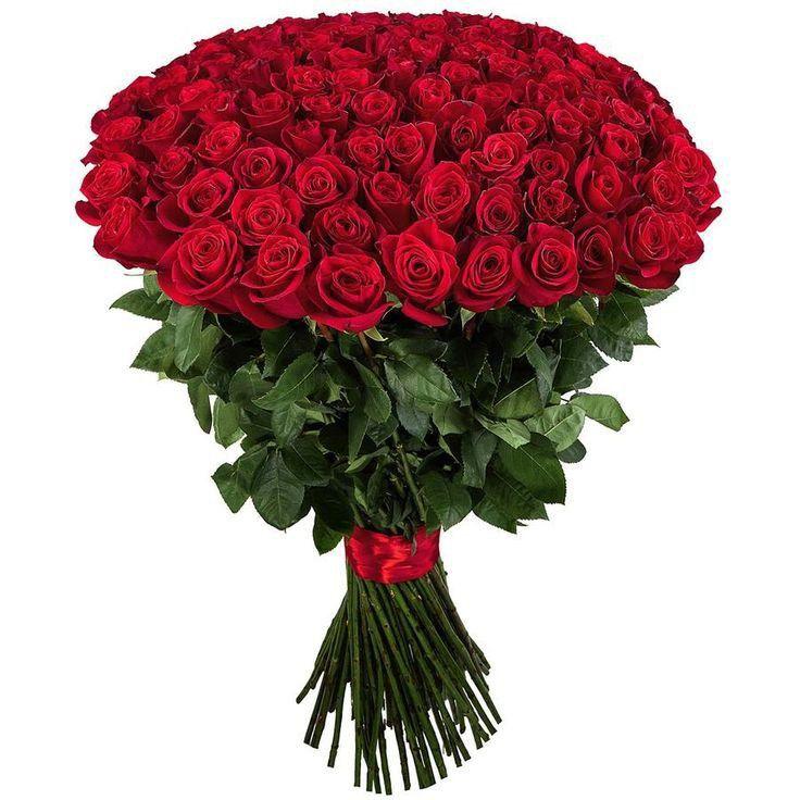Secret Eden's Charm: Vibrant Bouquet Symphony